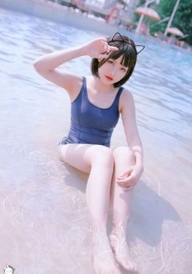 完美世界更新到第几集了